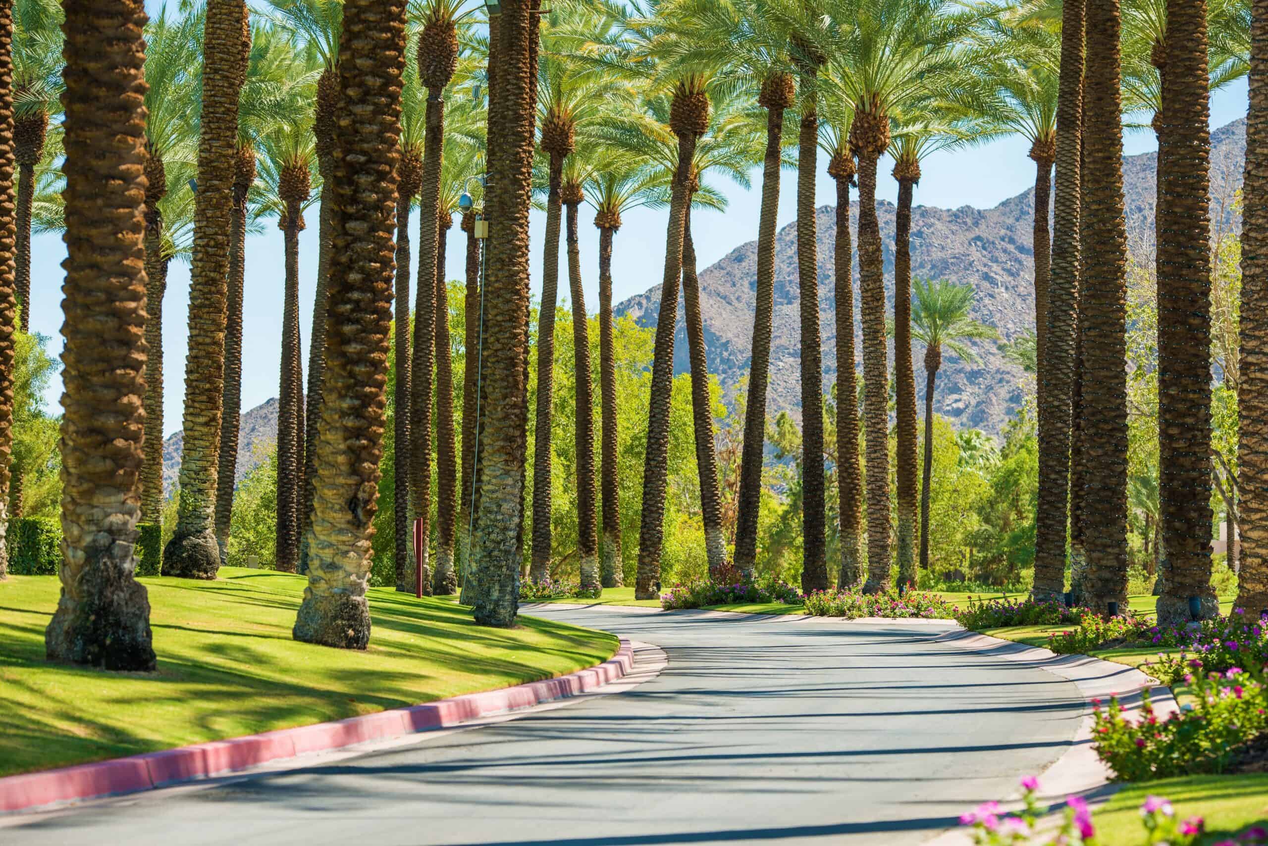 Palm Springs Hard Money Loans Scaled